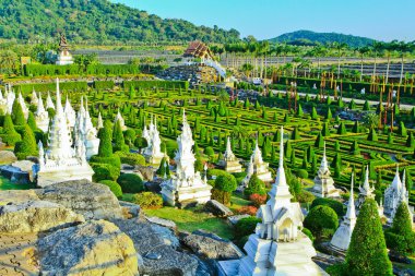 tropikal botanik bahçesi