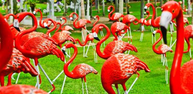 Flamingo