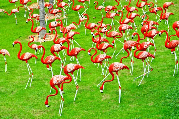 Flamingo — Fotografia de Stock