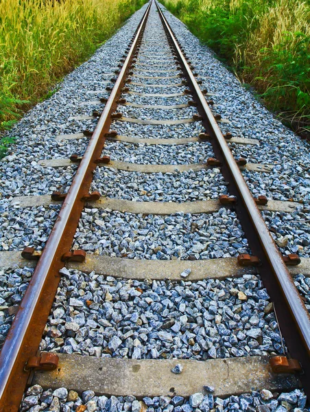 Long Railroad — Stock Photo, Image