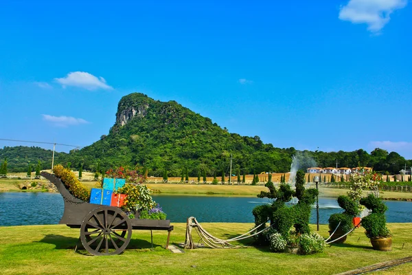 Jardín de césped — Foto de Stock