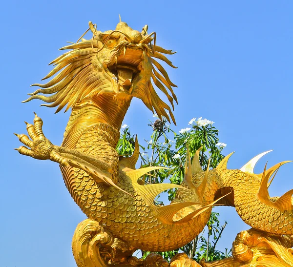 Dragón de oro —  Fotos de Stock
