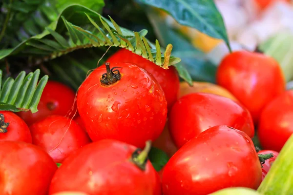 Tomao fruit — Stock Photo, Image