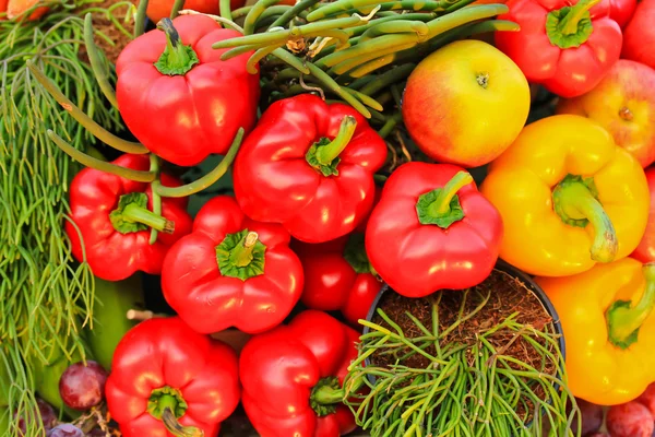 Červená a žlutá paprika — Stock fotografie