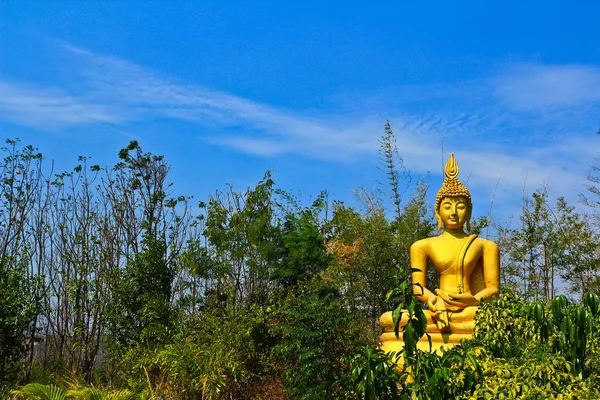 Statue de Bouddha — Photo