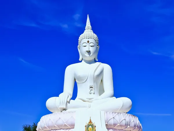 White buddha — Stock Photo, Image