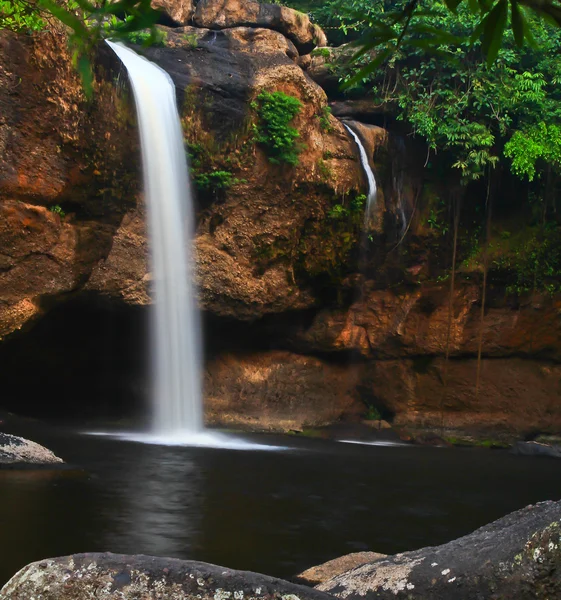 Cascade en forêt — Photo