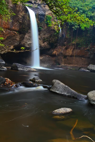 Cascade en forêt — Photo