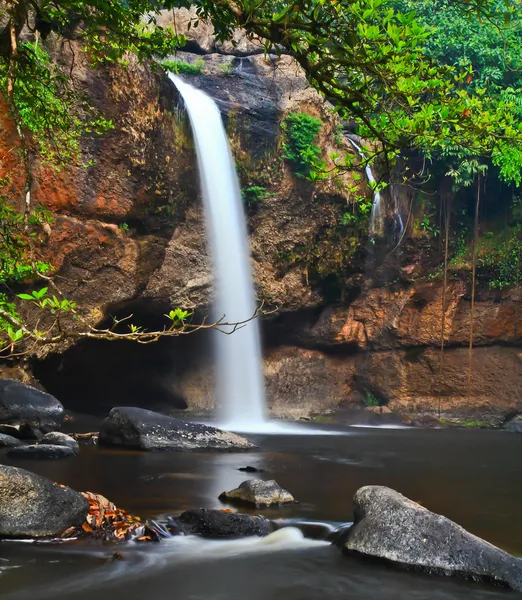 Cascade en forêt — Photo