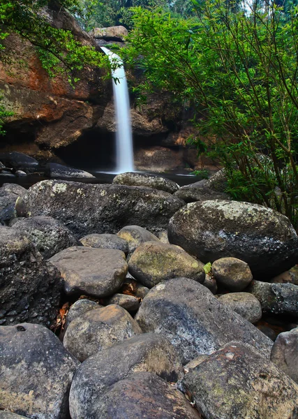 Cascade en forêt — Photo