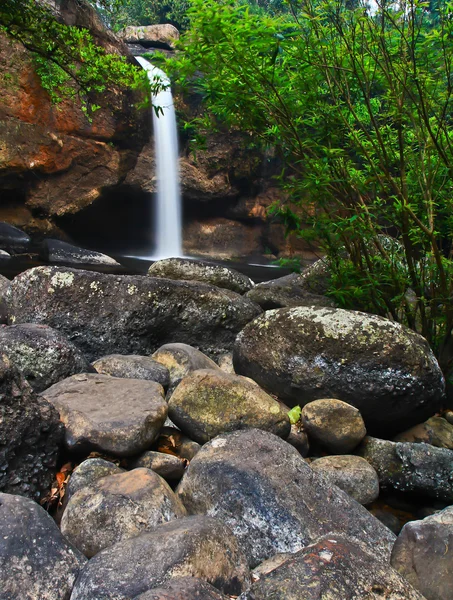 Cascade en forêt — Photo