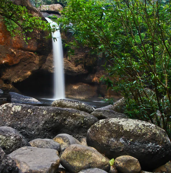 Cachoeira na floresta — Fotografia de Stock