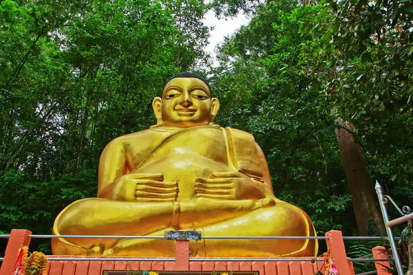 Fettbuddha . – stockfoto