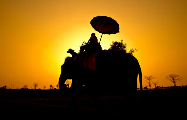 Tramonto in campagna — Foto Stock