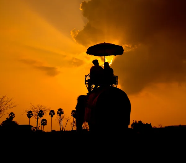 Pôr do sol no campo — Fotografia de Stock