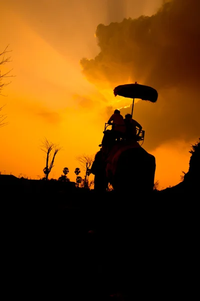 Pôr do sol no campo — Fotografia de Stock