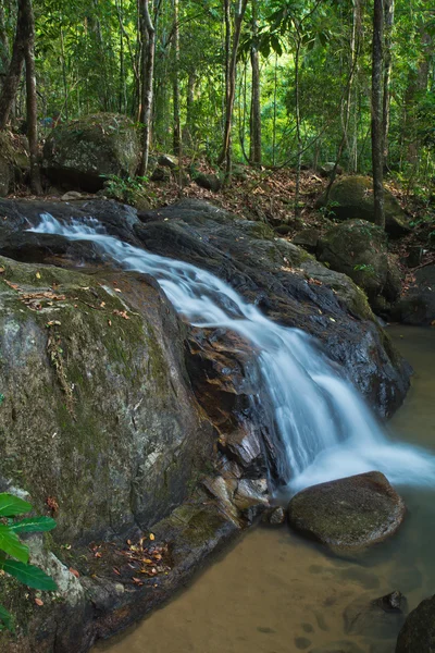 Cascada en el bosque — Foto de Stock