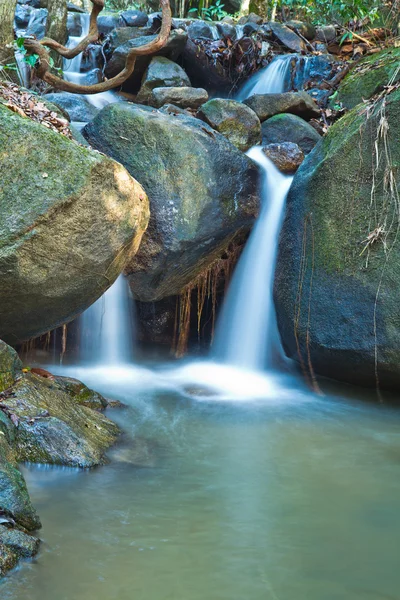 Waterfall in forest — Stock Photo, Image