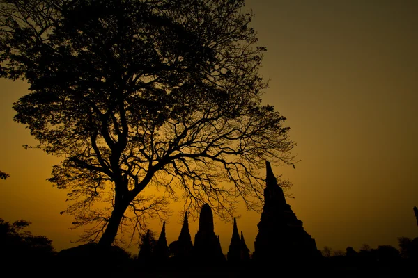 Tempio di Ayudhaya — Foto Stock