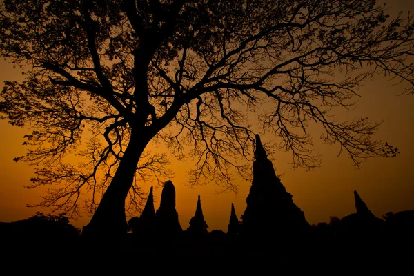 Tempel van ayudhaya — Stockfoto