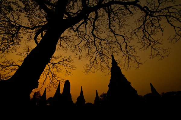 Tempio di Ayudhaya — Foto Stock