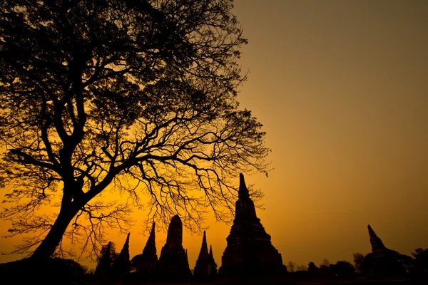 Temple of Ayudhaya — Stock Photo, Image