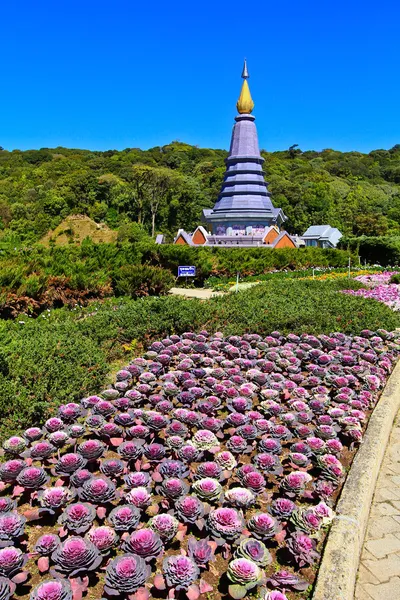 Pagoda di Doi Inthanon — Foto Stock