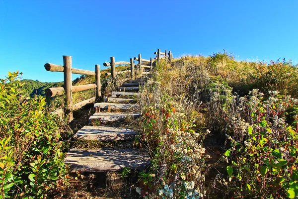 Montaña en el Parque Nacional Doi Inthanon — Foto de Stock