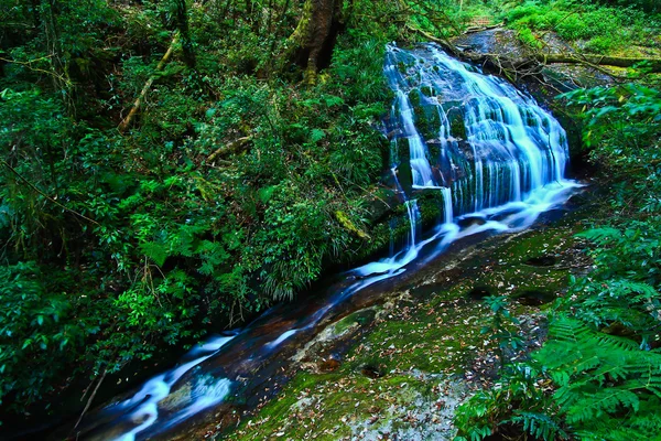 Doi cachoeira inthanon — Fotografia de Stock