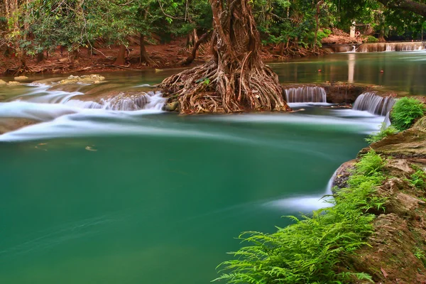 Водоспад у лісі — стокове фото