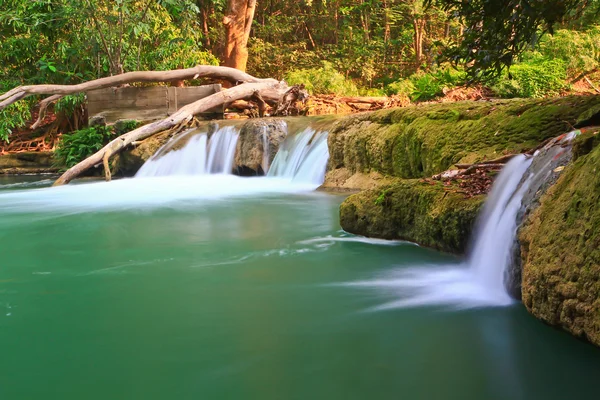 Cascada en el bosque — Foto de Stock