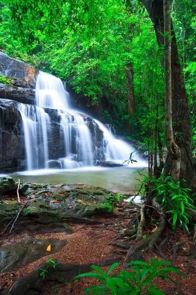 Deep forest waterfall — Stock Photo, Image