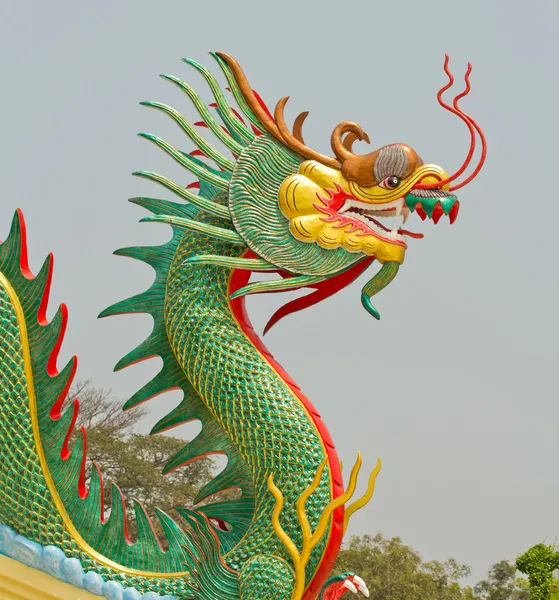 Beautiful dragon — Stock Photo, Image