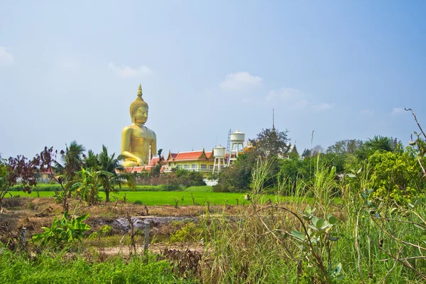 Wielki Budda w świątyni — Zdjęcie stockowe