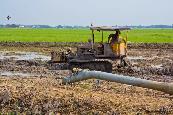 Thai farmers — Stock Photo, Image