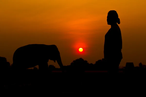 Sonnenuntergang — Stockfoto