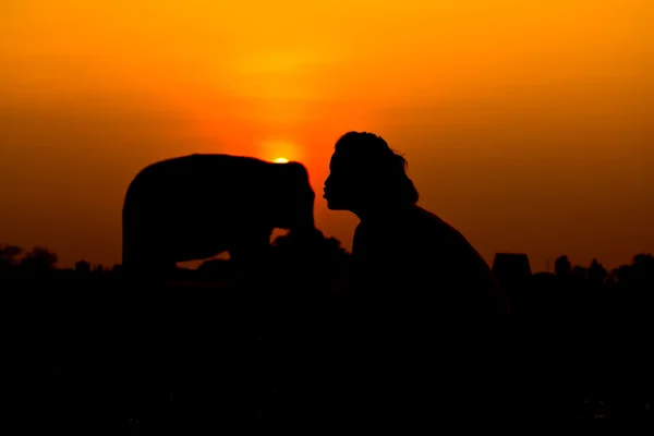 Puesta de sol — Foto de Stock