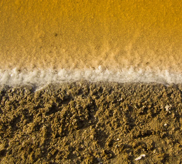 Zout velden — Stockfoto