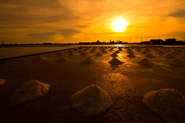 Salt fields — Stock Photo, Image