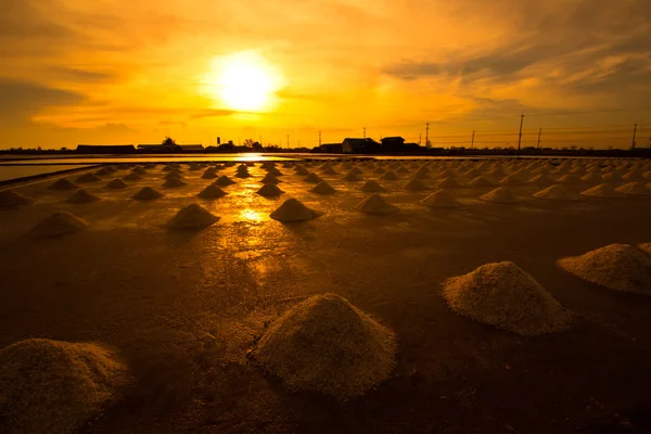 Salt fields — Stock Photo, Image