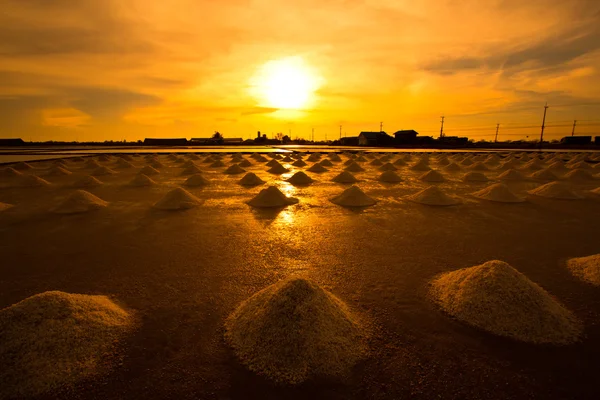 Salt fields — Stock Photo, Image