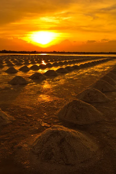 Salt fields — Stock Photo, Image