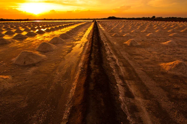 Соляные поля — стоковое фото