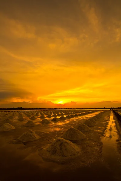 Salt fields — Stock Photo, Image