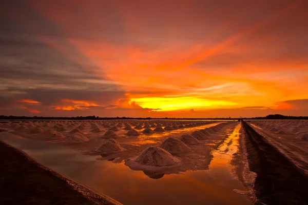 Salt fields — Stock Photo, Image