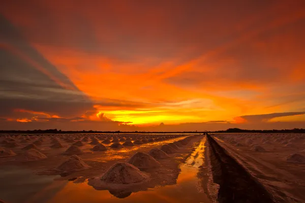 Salt fields — Stock Photo, Image