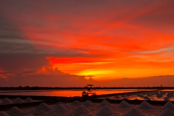 Salt fields — Stock Photo, Image