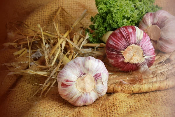 Pink garlic on a plate — Stock Photo, Image