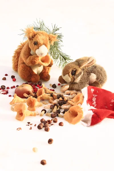 Eekhoorn en een konijn met giften van santa claus — Stockfoto