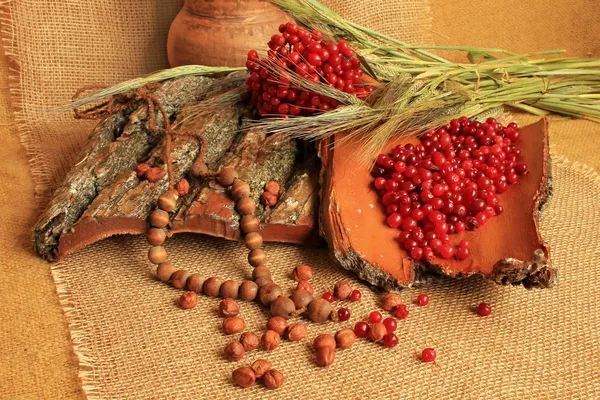 Jar of clay with bark and berries, along with nuts, wheat on linen tablecloth — Stock Photo, Image